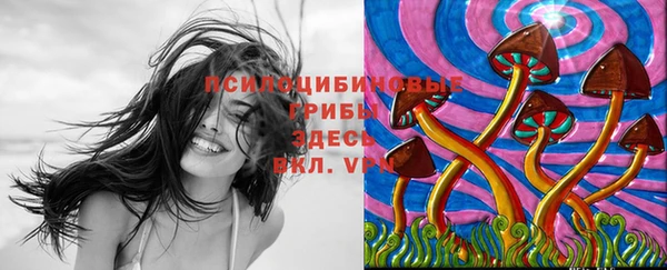 прущая мука Верхний Тагил